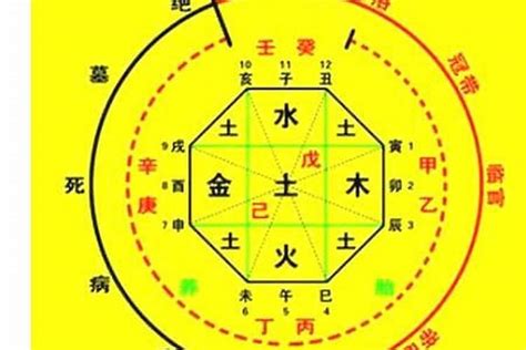 八字兩|生辰八字算命、五行喜用神查詢（免費測算）